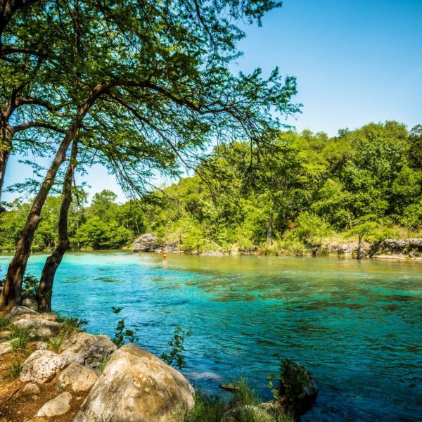 Guadalupe,River,New,Braunfels,,Texas